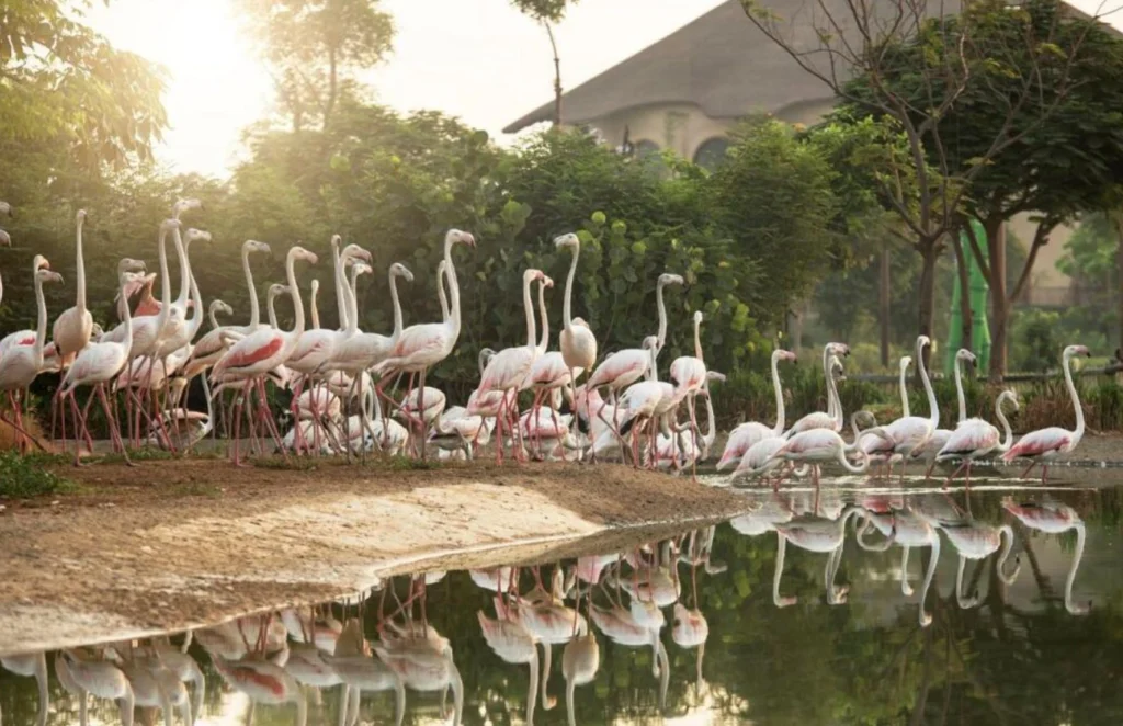 Dubai Safari Park image